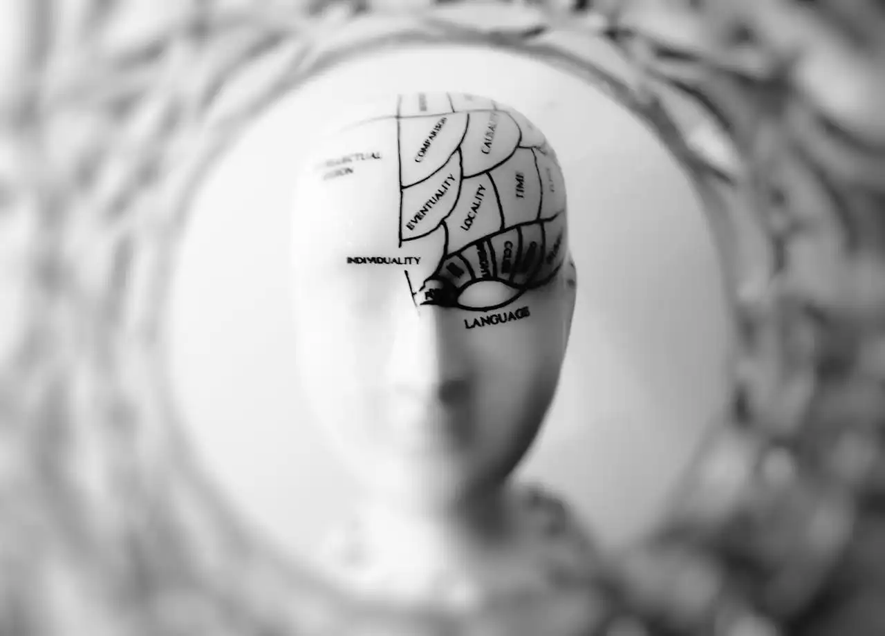 Fuel Your Supercomputer: Five Foods That Will Level Up Your Brainpower