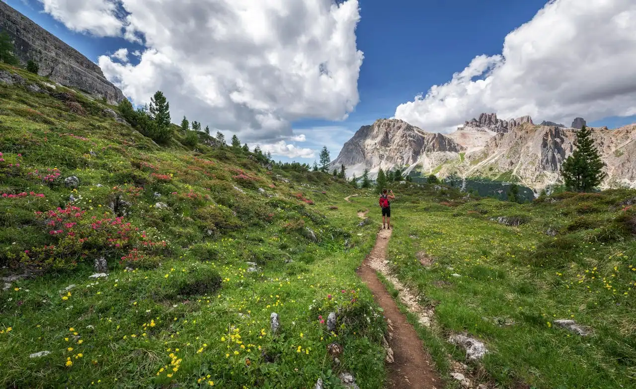 Unleashing the Wild: A Deep Dive into the UTMB World Series