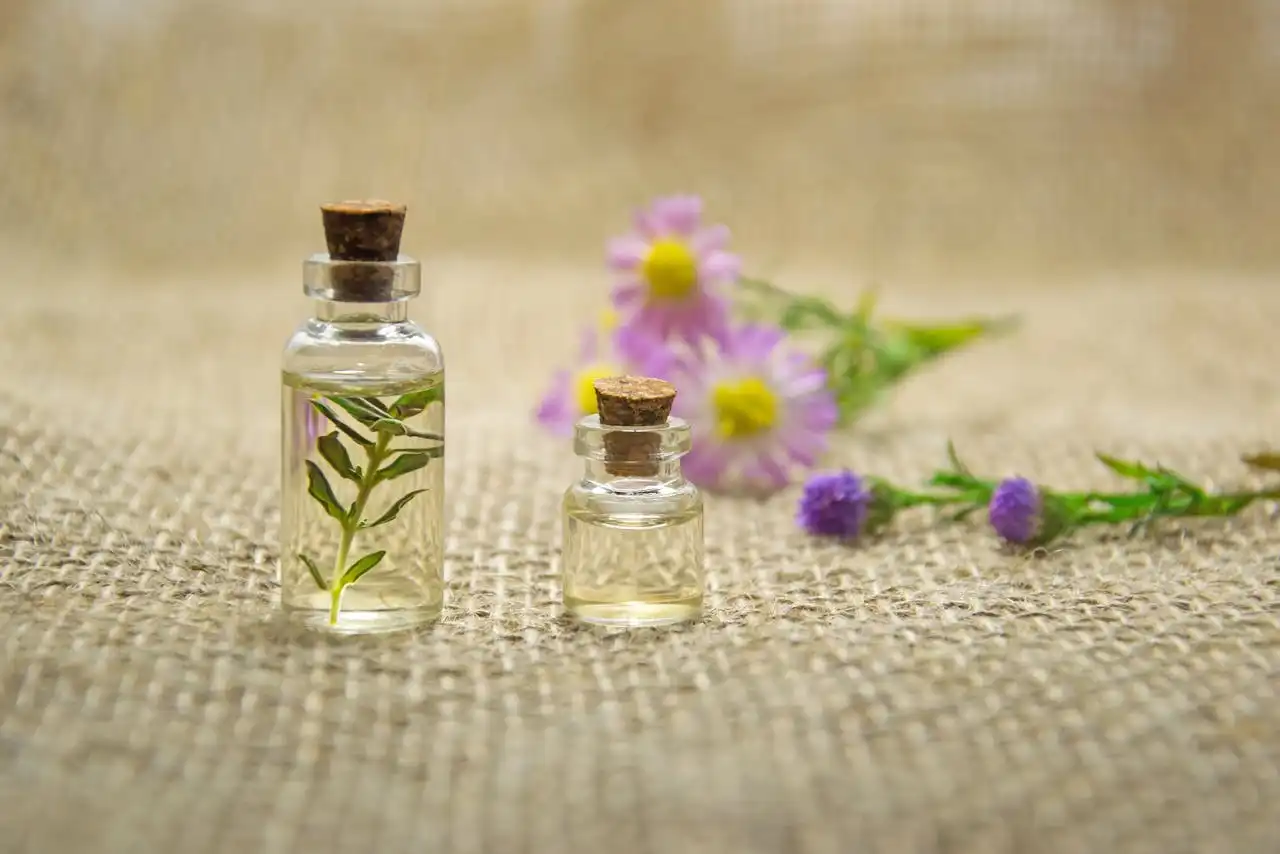 Soothing the Soul: The Best Essential Aromas to Relieve Stress and Anxiety