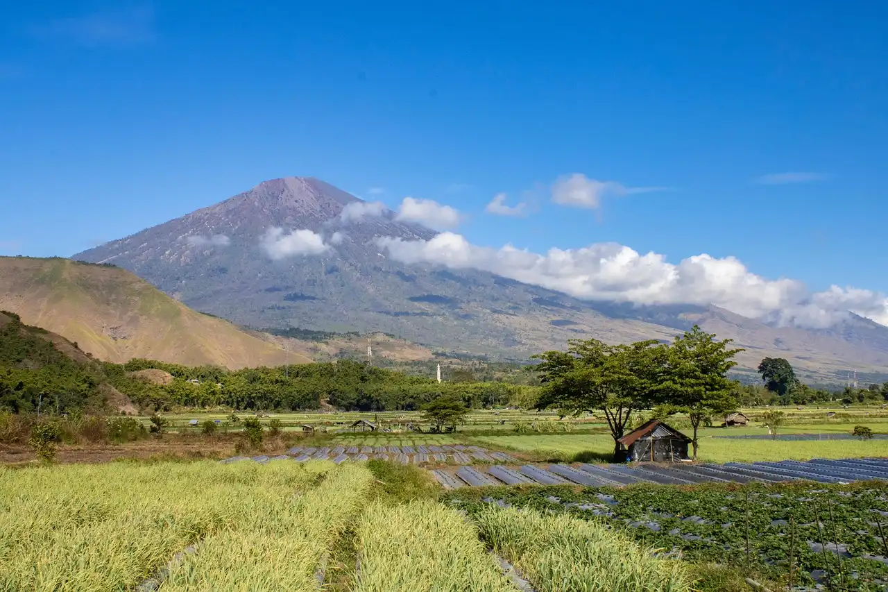 Rinjani Bucket List: Solo Journey or Group Epic?