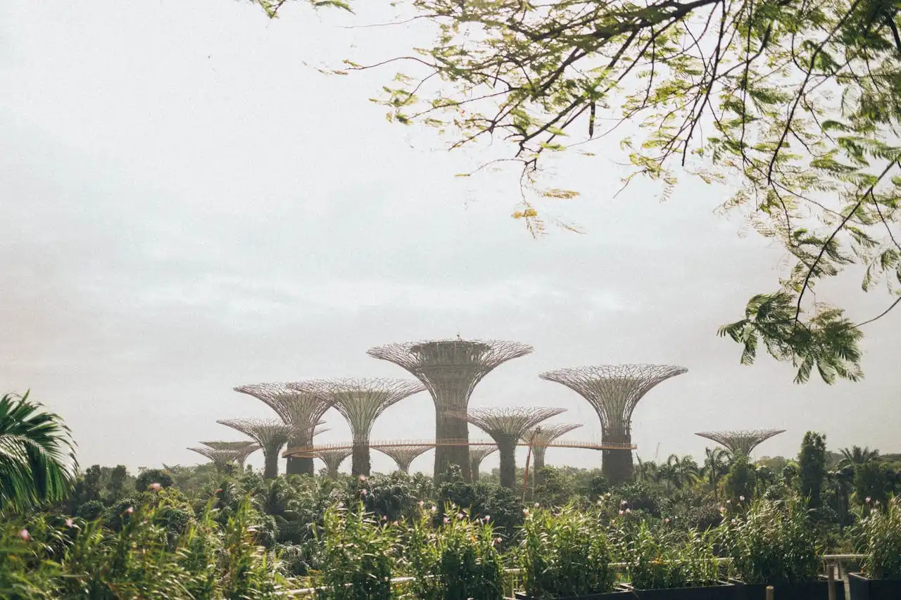 An Oasis in the City: Why Singapore Is Called the 'City in a Garden' and the Best Places to Enjoy Nature