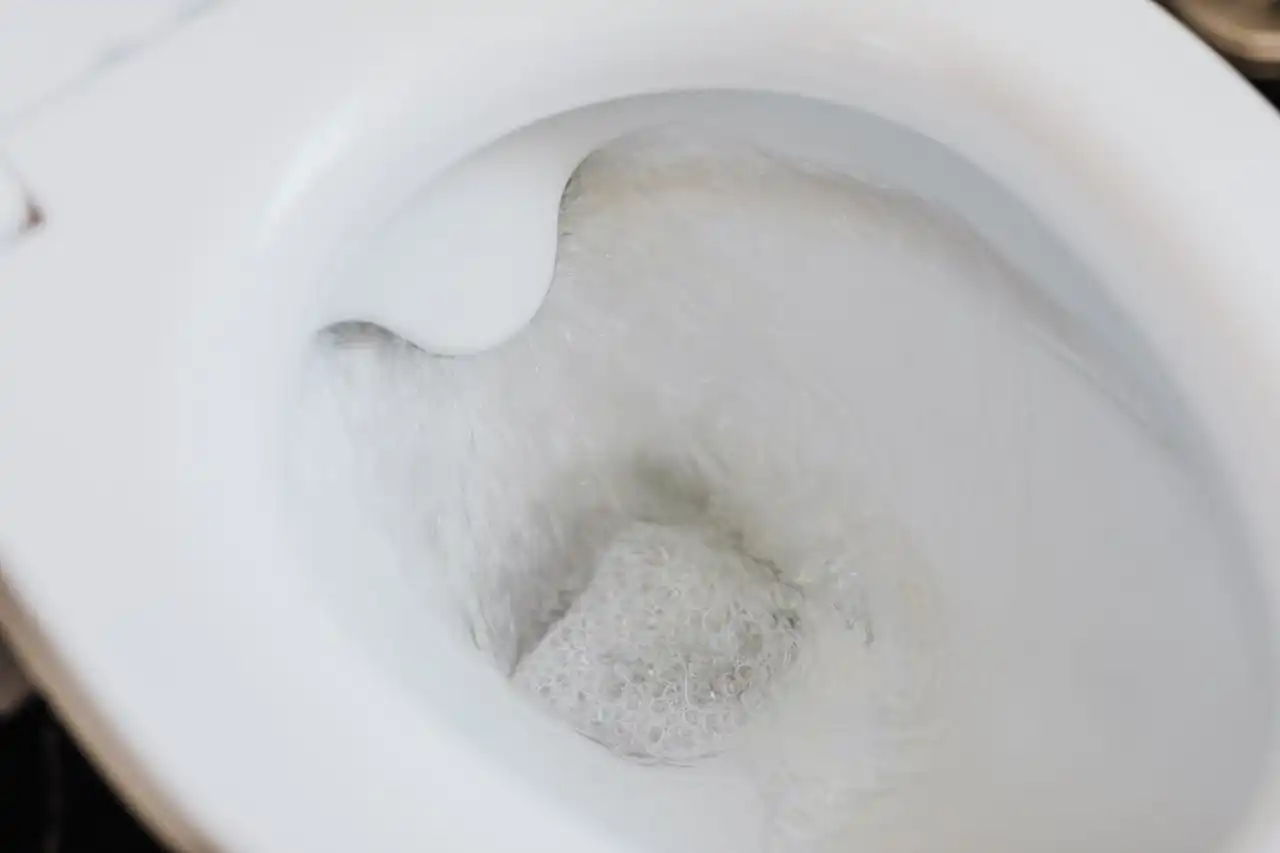 Is Your Phone Turning Your Toilet Time into Trouble Time?