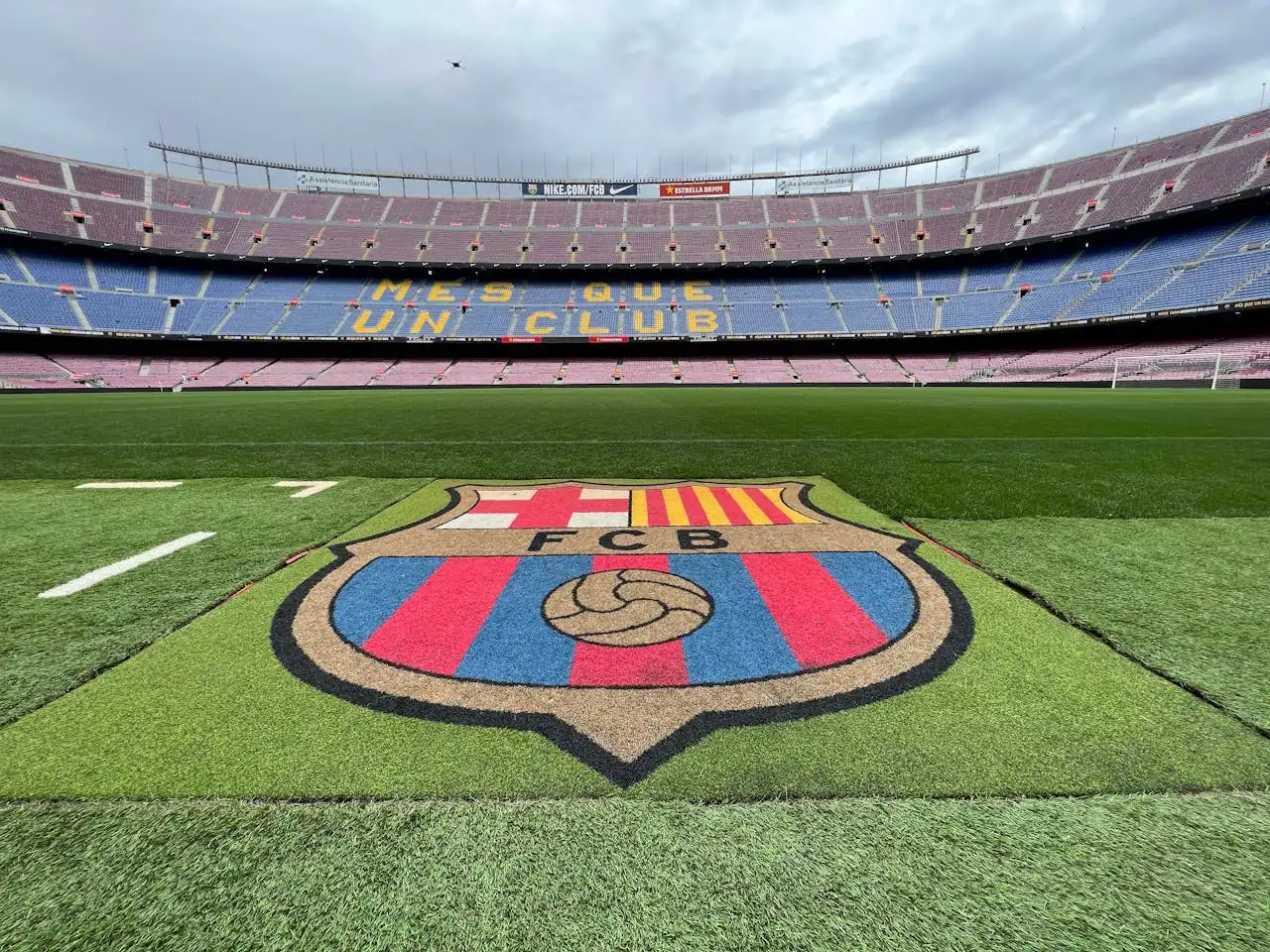 More Than Just Teammates: Uncovering the Friendship and Synergy of the MSN Trio Telepaths