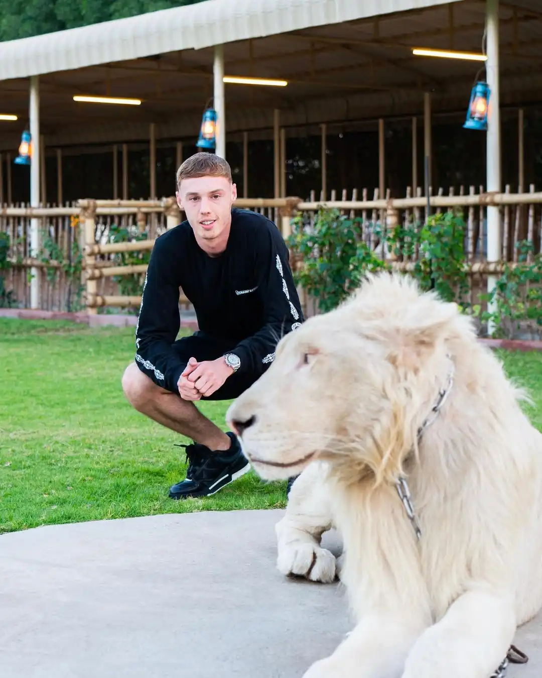 Cole Palmer: The Silent Storm Who Became Chelsea's Golden Boy – And Their Biggest Bargain