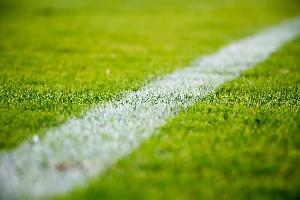 From Grassroots to Glory: How MLS Academies Are Building the Future, One Young Star at a Time
