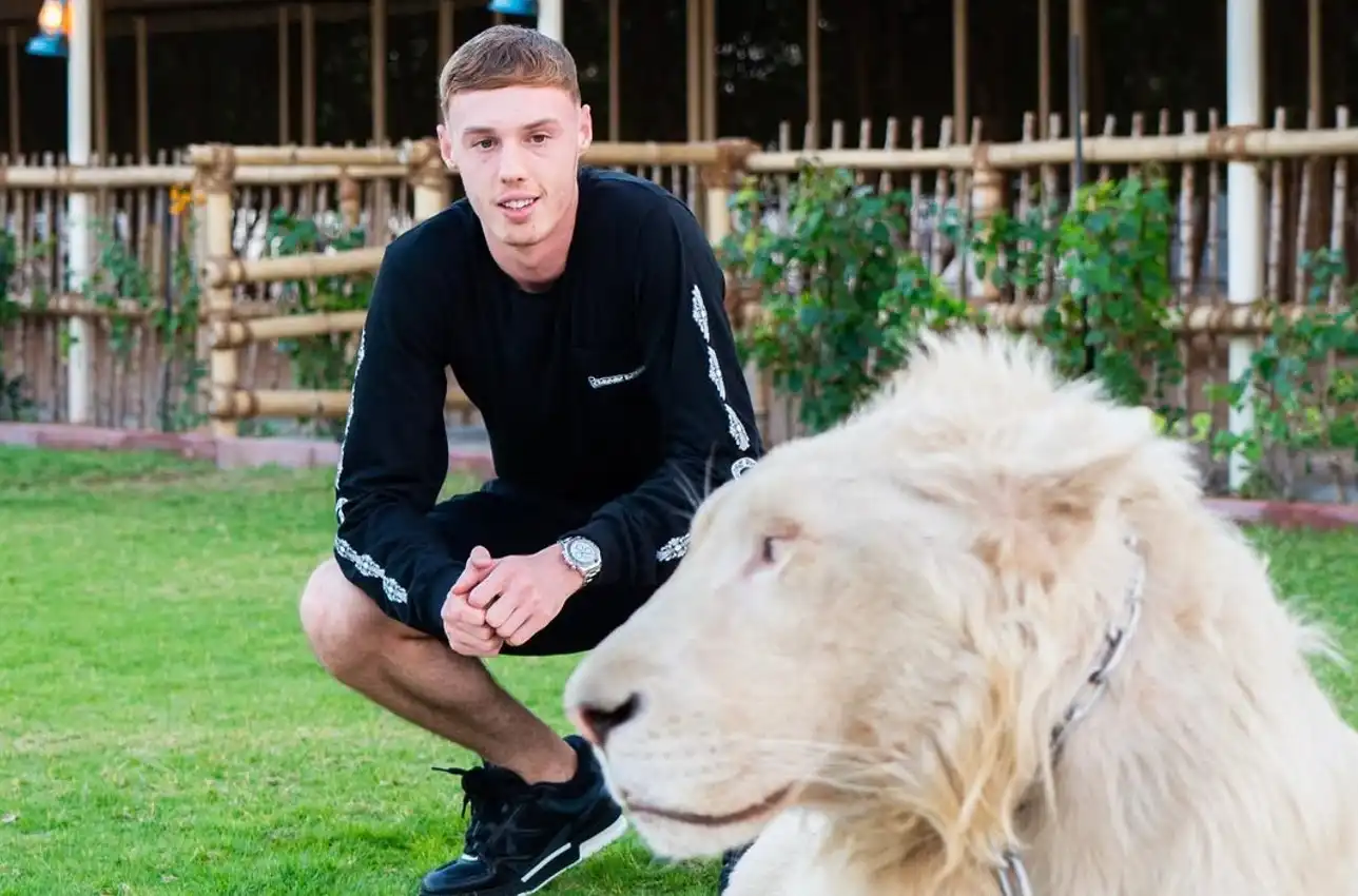 Cole Palmer: From Academy Gem to Premier League's Coolest Catalyst