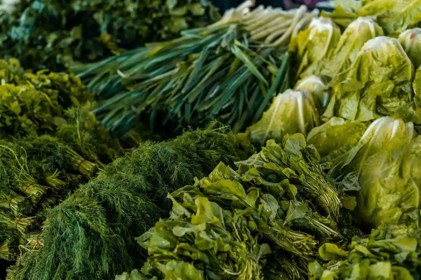 Bosan Makan Wortel? Ini Rahasia Mata Tajam Selain Wortel