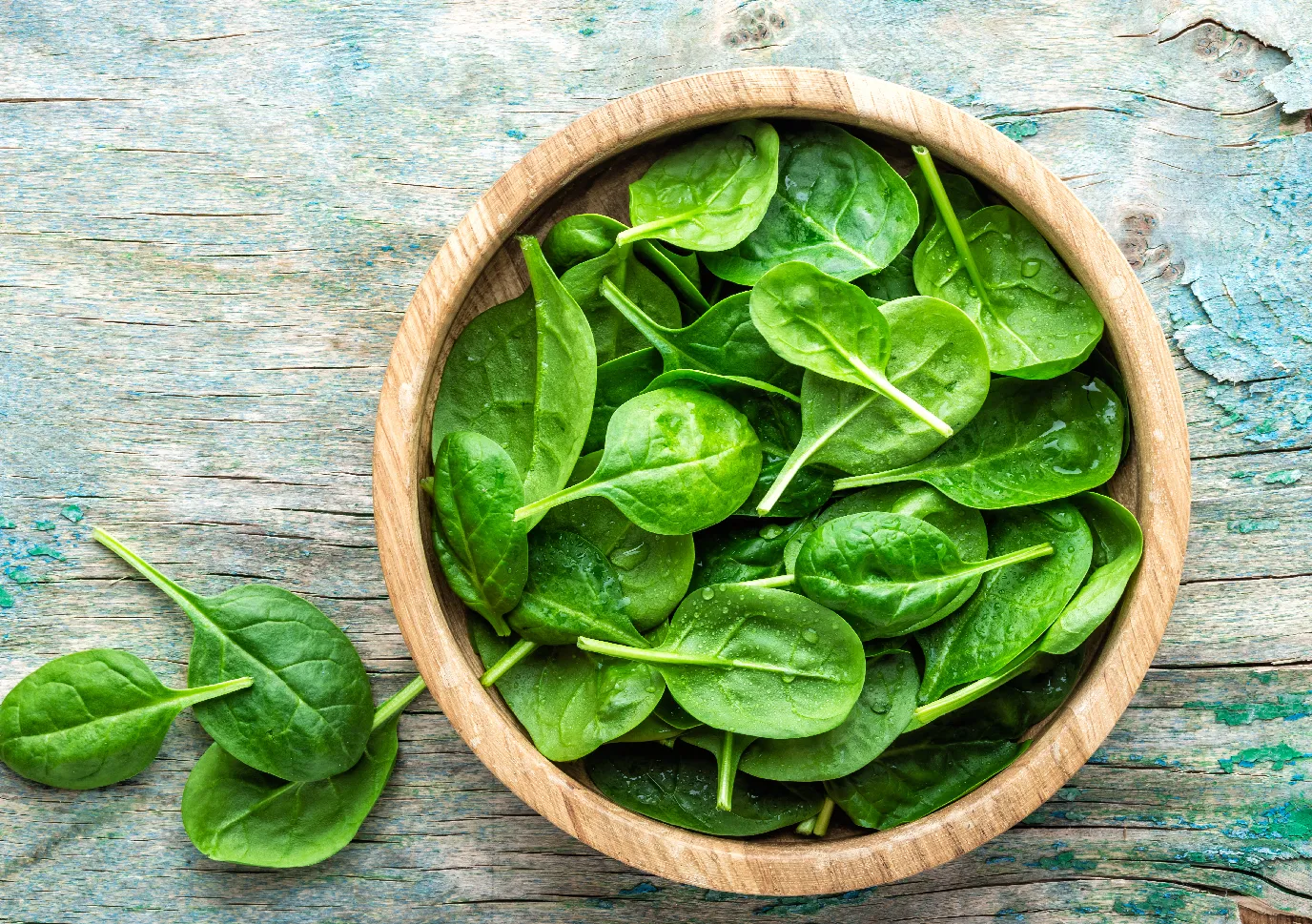 Inovasi Olahan Bayam: Alternatif Kreatif di Luar Sayur Bening