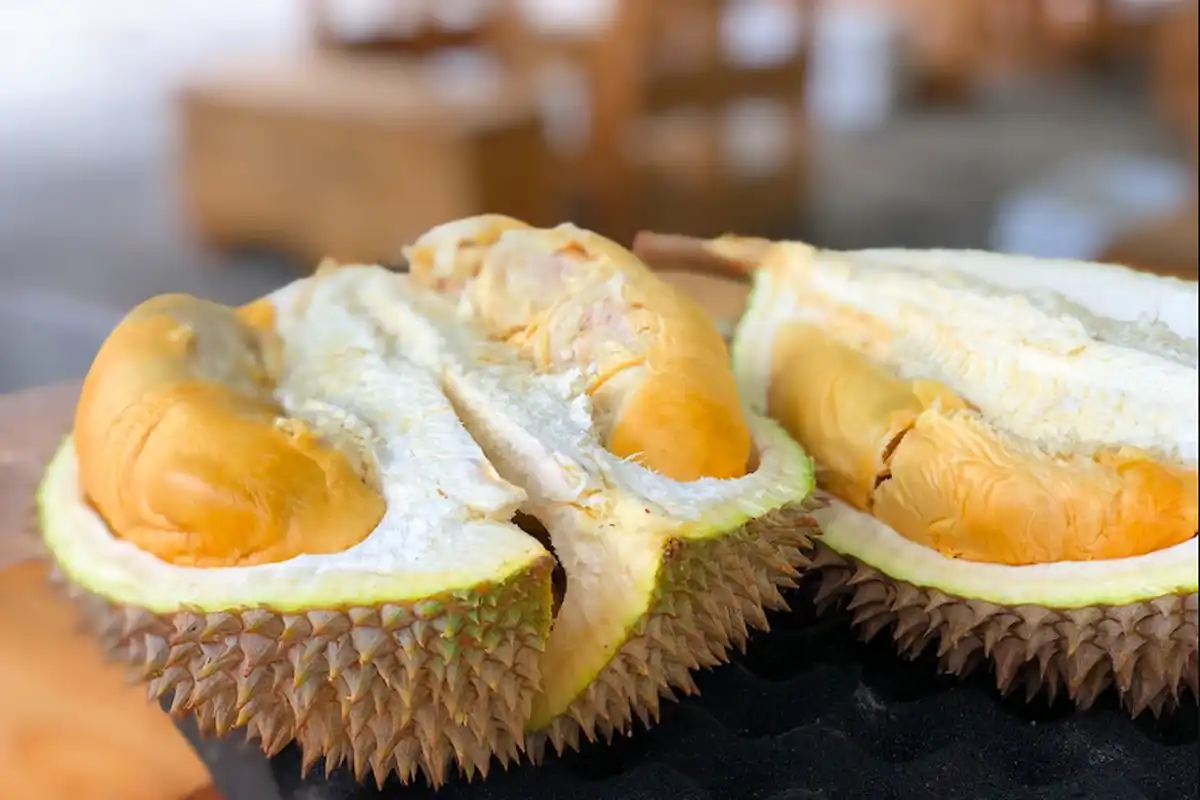 Fakta Mengejutkan Manfaat Makan Durian Bagi Kesehatan Tubuh