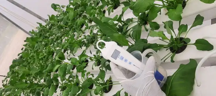 pH Meter Meleset? 5 Langkah Mudah Kalibrasi Alat Ukur untuk Hasil Panen yang Presisi