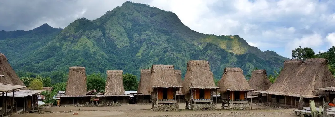 Menemukan Nyawa Flores di Tengah Kabut, Kopi, dan Tradisi Megalitikum Bajawa