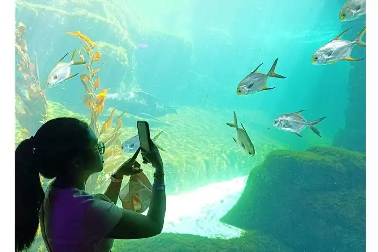 Marine Safari Bali sebagai Pusat Edukasi dan Konservasi Ekosistem Laut