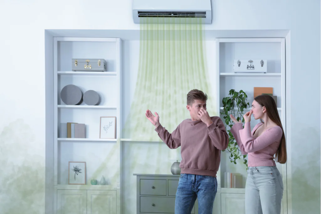 Solusi Ampuh Usir Bau Apek di Ruang Kerja Agar Tetap Fokus