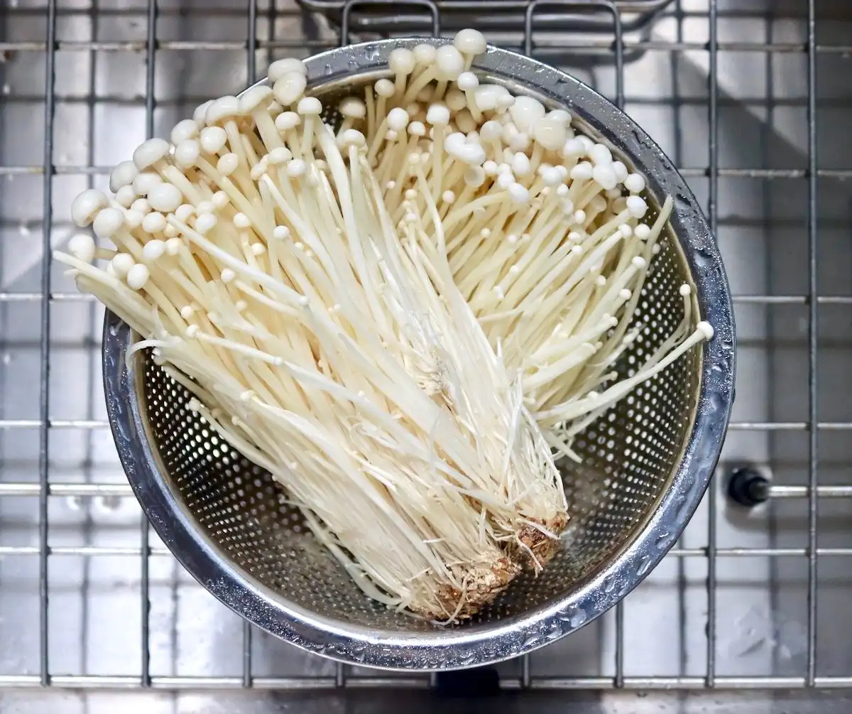 Panduan Aman Mengolah Jamur Enoki Bebas Bakteri Berbahaya