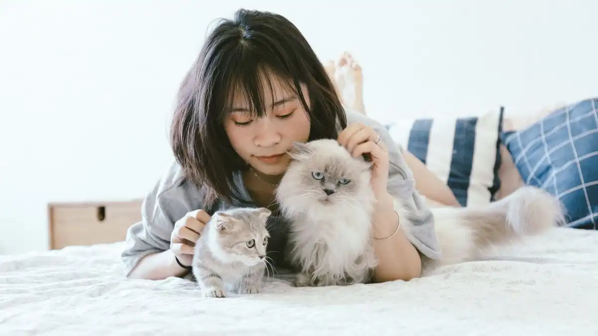Kucing Kamu Sering Cuek? Yuk Kenali Bahasa Tubuh Si Anabul