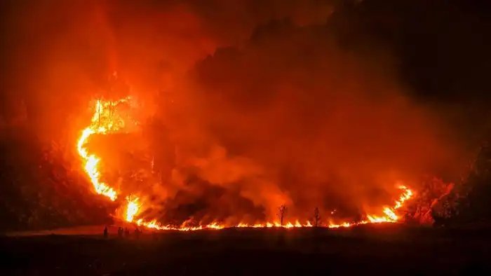 Kebakaran Bromo dan Musim Kemarau Panjang, Kenapa Wilayah Wisata Ini Rawan Terbakar Setiap Tahun?