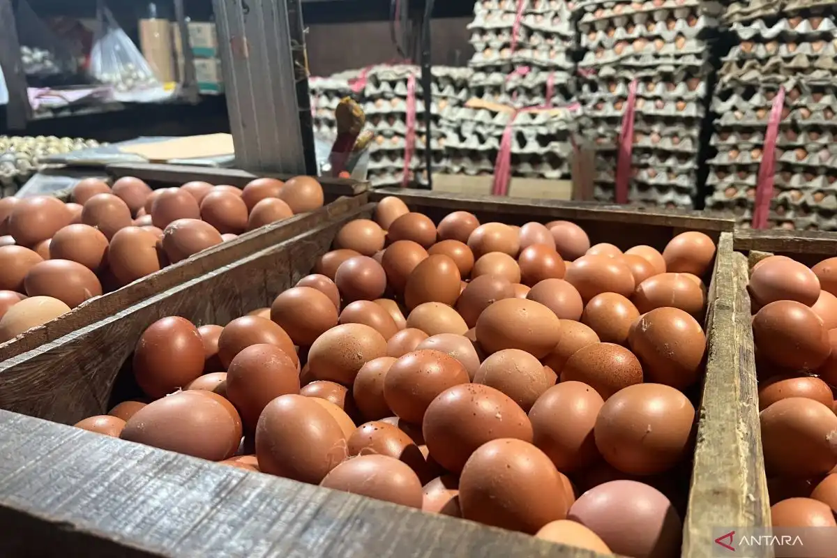 5 Komoditas Pangan Alami Kenaikan Jelang Nataru