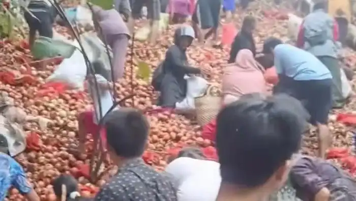 Viral! Aksi Warga Serbu Bawang Bombai yang Dibuang di Batam