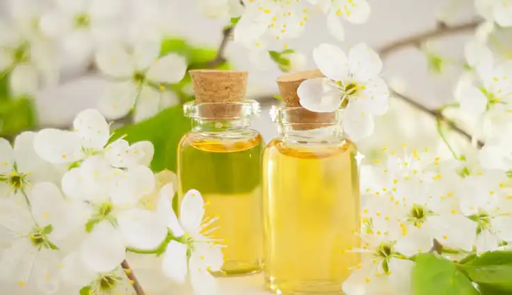 Mengenal Lebih Dalam Tuberose vs Jasmine: Sama-Sama Wangi Favorit Wanita Asia