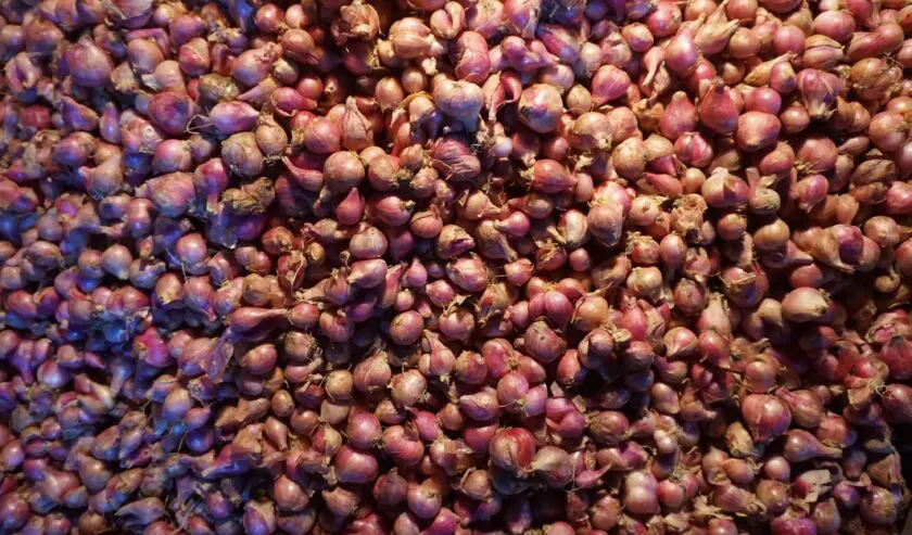 Harga Bawang Merah Tembus Rp 37.900 per Kg, Ini Daftar Harga Pangan Lainnya
