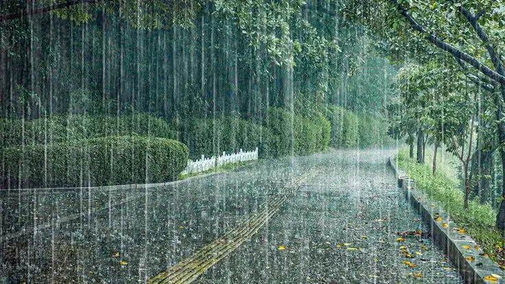 BMKG Bunyikan Alarm Bahaya, Hujan Ekstrem dan Angin Kencang Siap Kepung Wilayah Ini Sepekan ke Depan