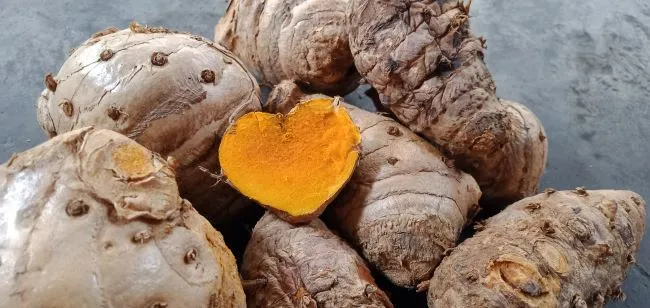 Mirip Tapi Beda, Yuk Kenali Perbedaan Temulawak vs Temu Putih