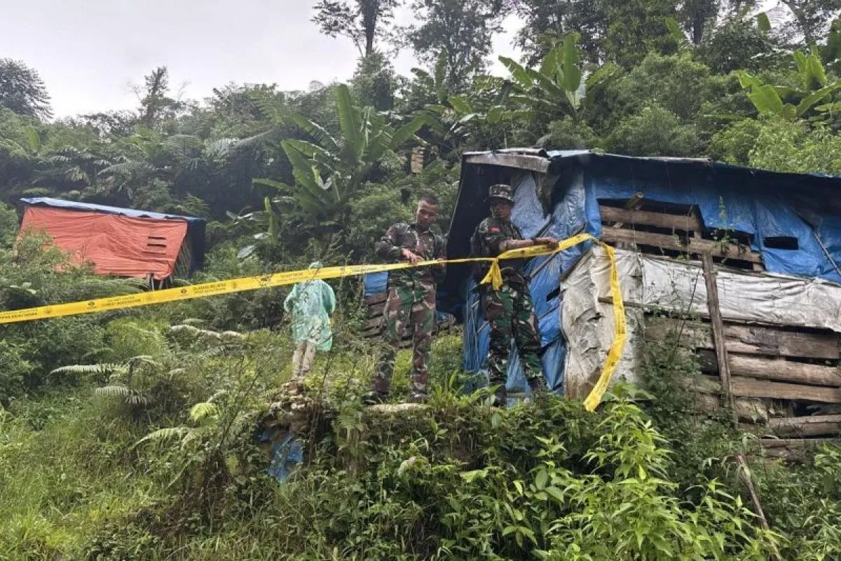 Kisah Pilu Halimun Salak: Rimba Digerogoti Emas