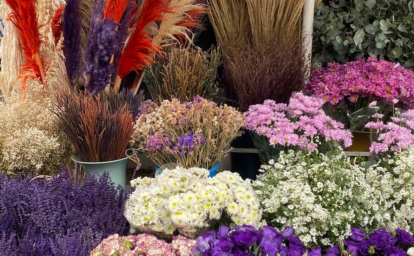 Katakan dengan Bunga: Menyelami Makna Bunga untuk Memperkaya Hubungan