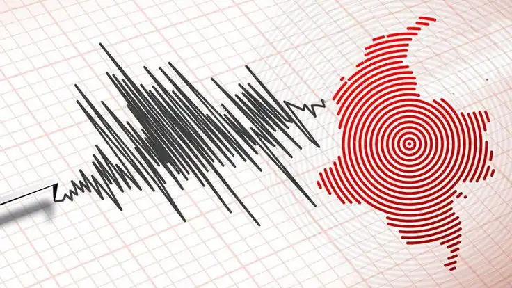 Gempa M 5,5 Guncang Maluku Barat Daya, BMKG Pastikan Aman Tsunami