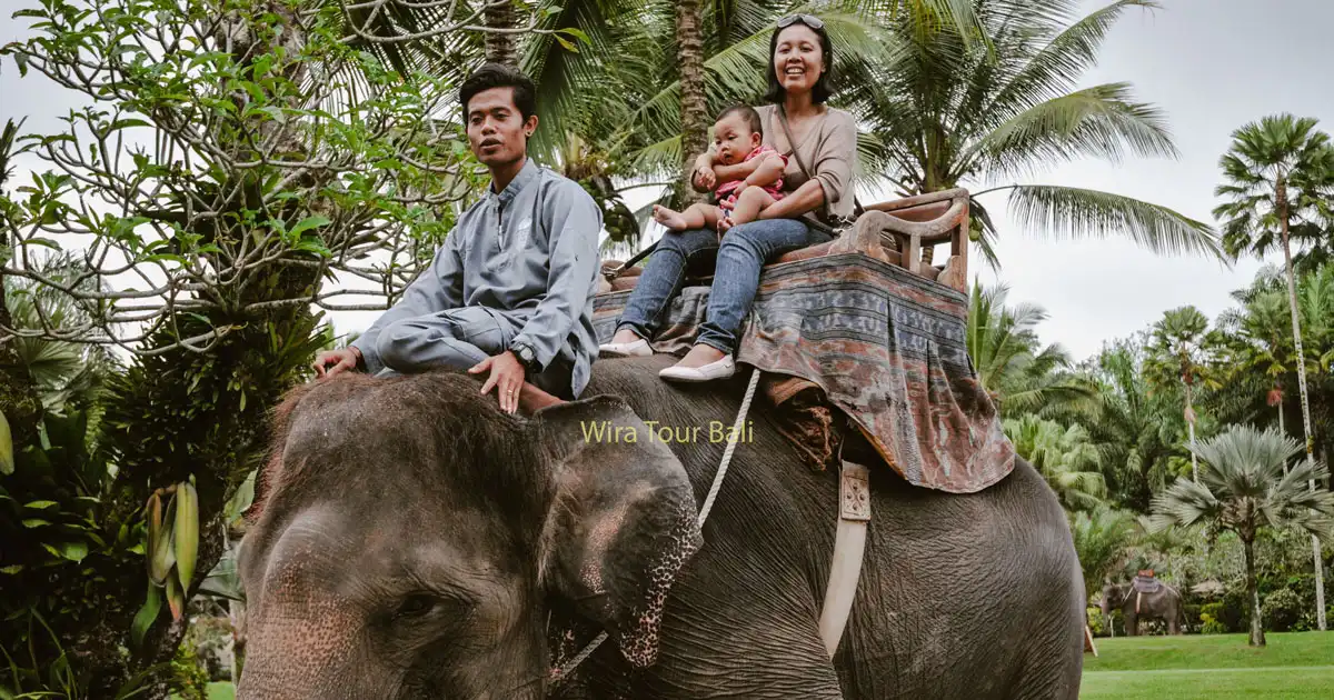Era Baru Pariwisata Indonesia Tanpa Atraksi Gajah Tunggang