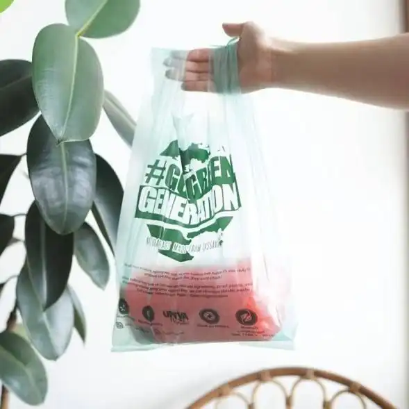 Bisa Larut di Air Bukan Berarti Aman! Mengapa Cassava Bag Tetap Berisiko Bagi Ekosistem.