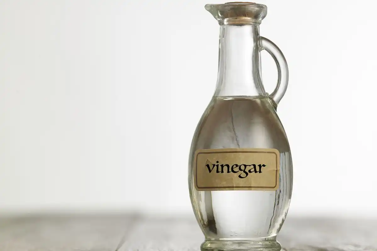 Alasan Mengejutkan di Balik Tren Mengoleskan Cuka pada Pintu Rumah