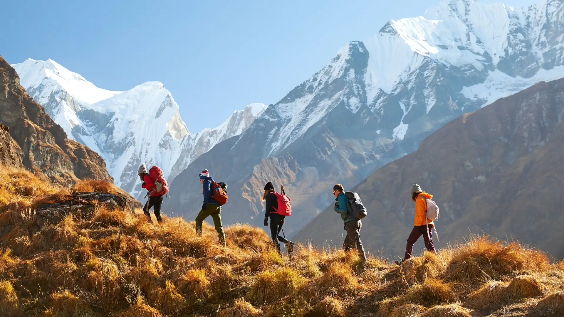 Sering Tertukar! Ini Perbedaan Hiking dan Trekking yang Wajib Tahu