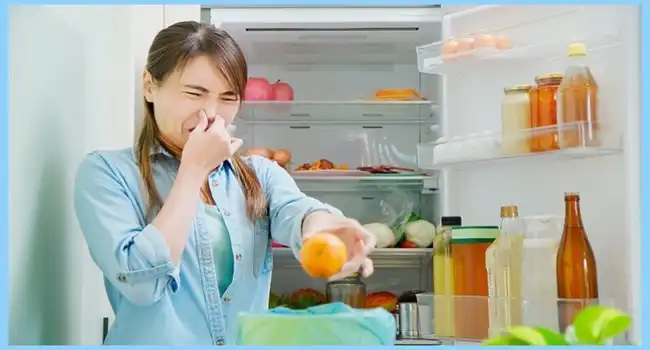 Kulkas Bau Setelah Lebaran? Coba Cara Praktis Ini