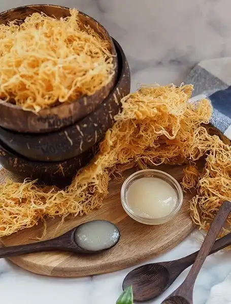 Sea Moss Naik Daun di Dunia Skincare, Benarkah Bisa Bikin Kulit Lebih Sehat?