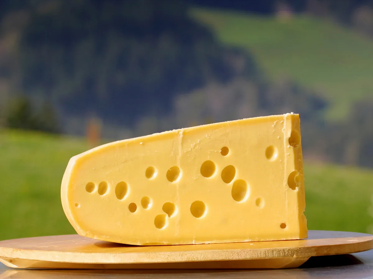 Fakta Keju Emmental Ikon Kartun Tom and Jerry yang Mendunia