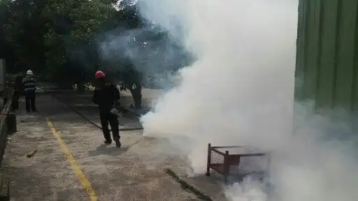 Fogging Bukan Solusi Ajaib, Matikan Nyamuk DBD dari Jentiknya