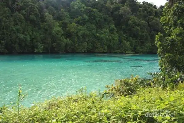 Danau Kakaban, Sensasi Berenang Bareng Ribuan Ubur-Ubur Tanpa Disengat yang Cuma Ada Dua di Dunia!
