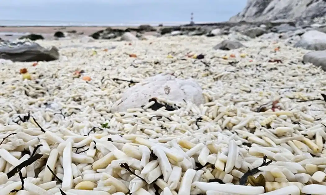 Fenomena Lautan Kentang dan Bawang di Pantai Inggris Akibat Insiden Kapal Karam