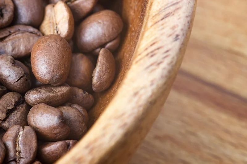 Varietas Kopi Termahal Dunia Mulai Menemukan Karakter Uniknya di Tanah Vulkanik Kita