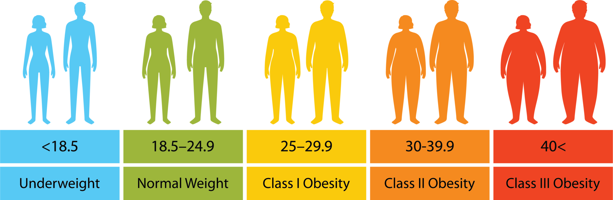 Cara Menghitung Kebutuhan Kalori Sendiri Tanpa Bantuan Ahli Gizi