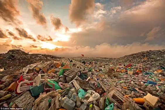 Dibuang Hari Ini, Bisa Sampai Laut Besok: Surabaya Jadi Pilot Project Pengurangan Sampah Plastik