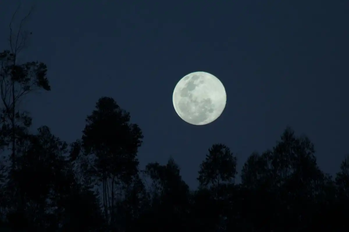 Jangan Lewatkan Pesona Wolf Moon di Langit Malam Ini!