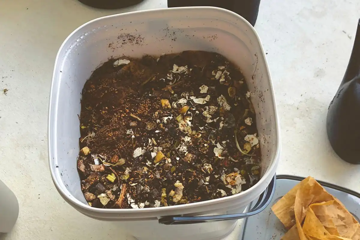 Panduan Panen Bokashi yang Benar