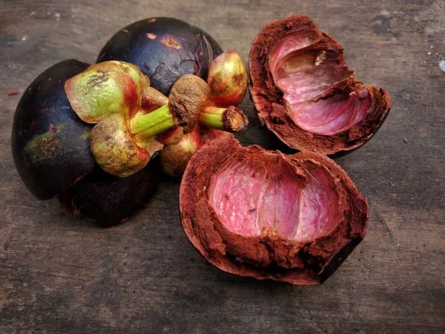 Stop Buang Kulit Manggis! Kenali Kandungan Ajaib di Dalamnya