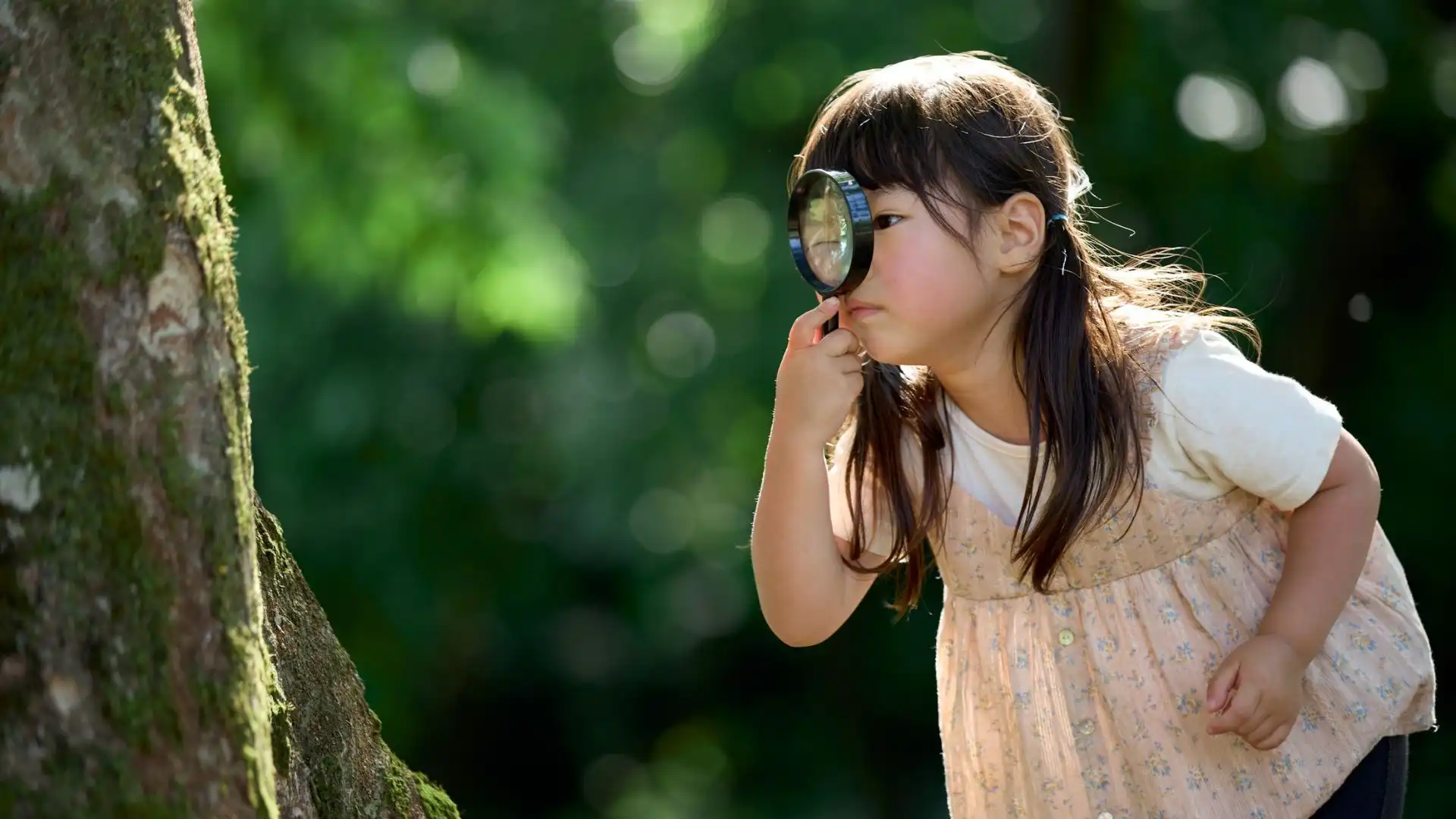 Alasan Sains Kenapa Sifat Kepo Adalah Kunci Sukses Belajar Tanpa Beban