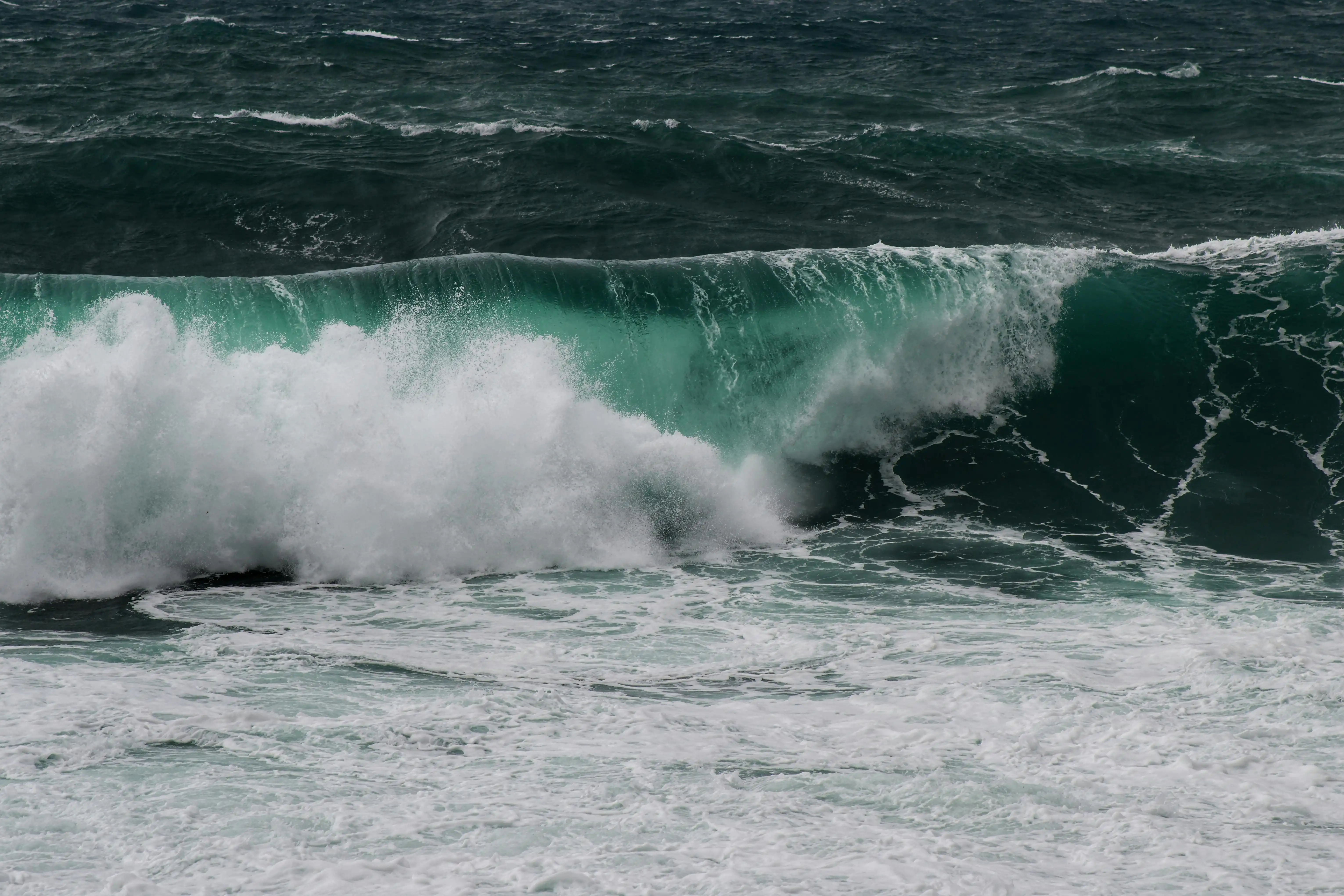 Jangan Panik! Inilah Protokol Penyelamatan Diri Saat Terseret Arus Laut Kuat