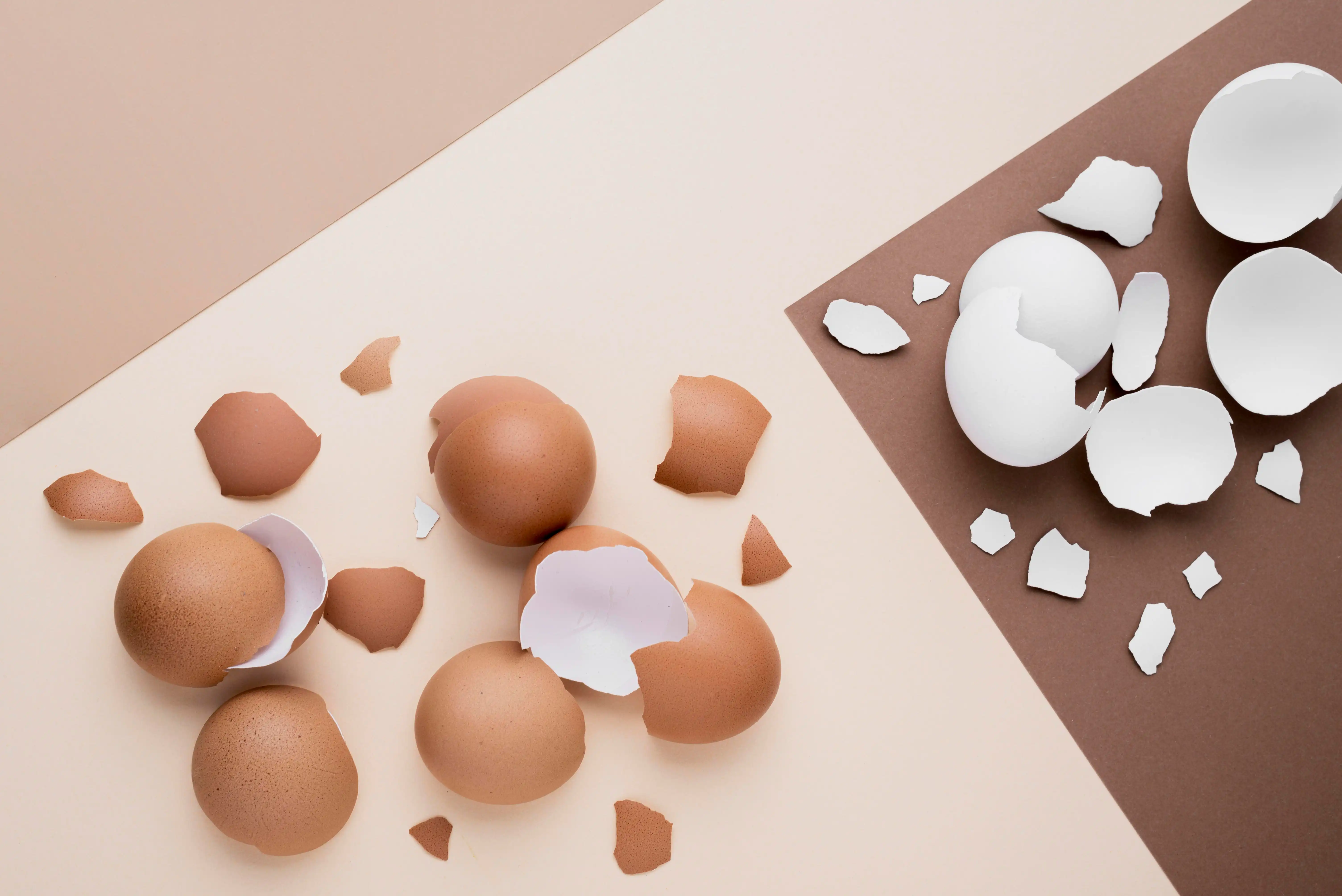 Manfaat Cangkang Telur untuk Tanaman Hias Biar Makin Glowing