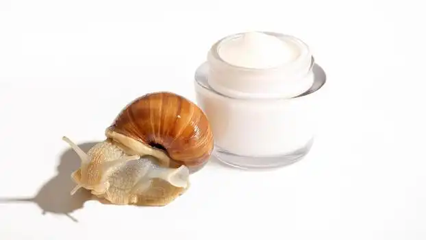 Dari Lendir Jejak Siput ke Wajah: Mengapa Lendir Siput Jadi Skincare?