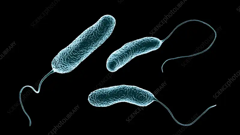 Bukan Mesin, Ternyata Bakteri Mutan dan Lendir Okra Bisa Jadi Solusi Kiamat Plastik!